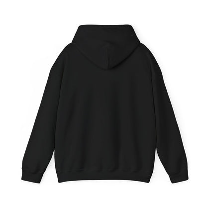 ALB Checkered Hoodie
